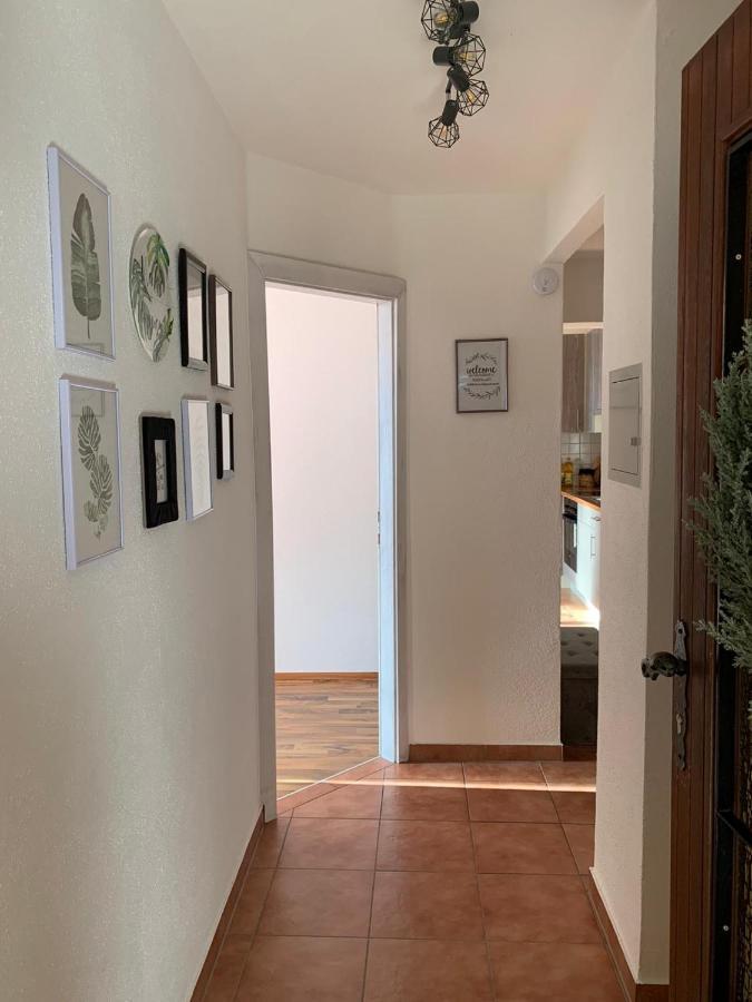 M'S Wood Appartement Maishofen Exterior photo