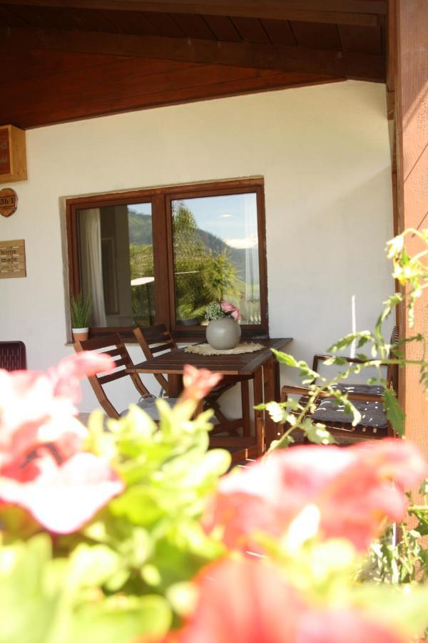 M'S Wood Appartement Maishofen Exterior photo