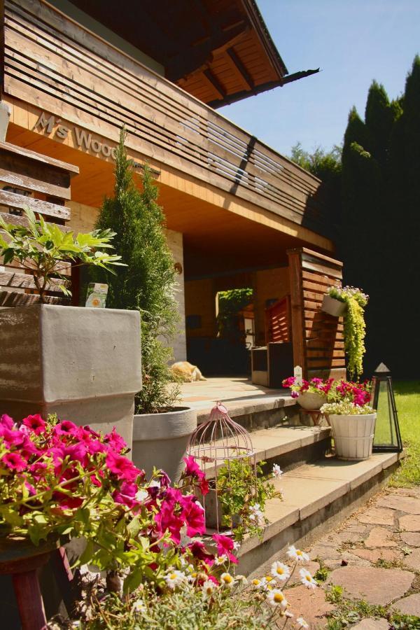 M'S Wood Appartement Maishofen Exterior photo